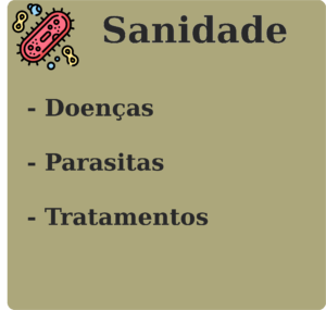 sanidade