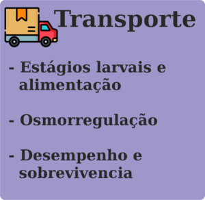 transporte